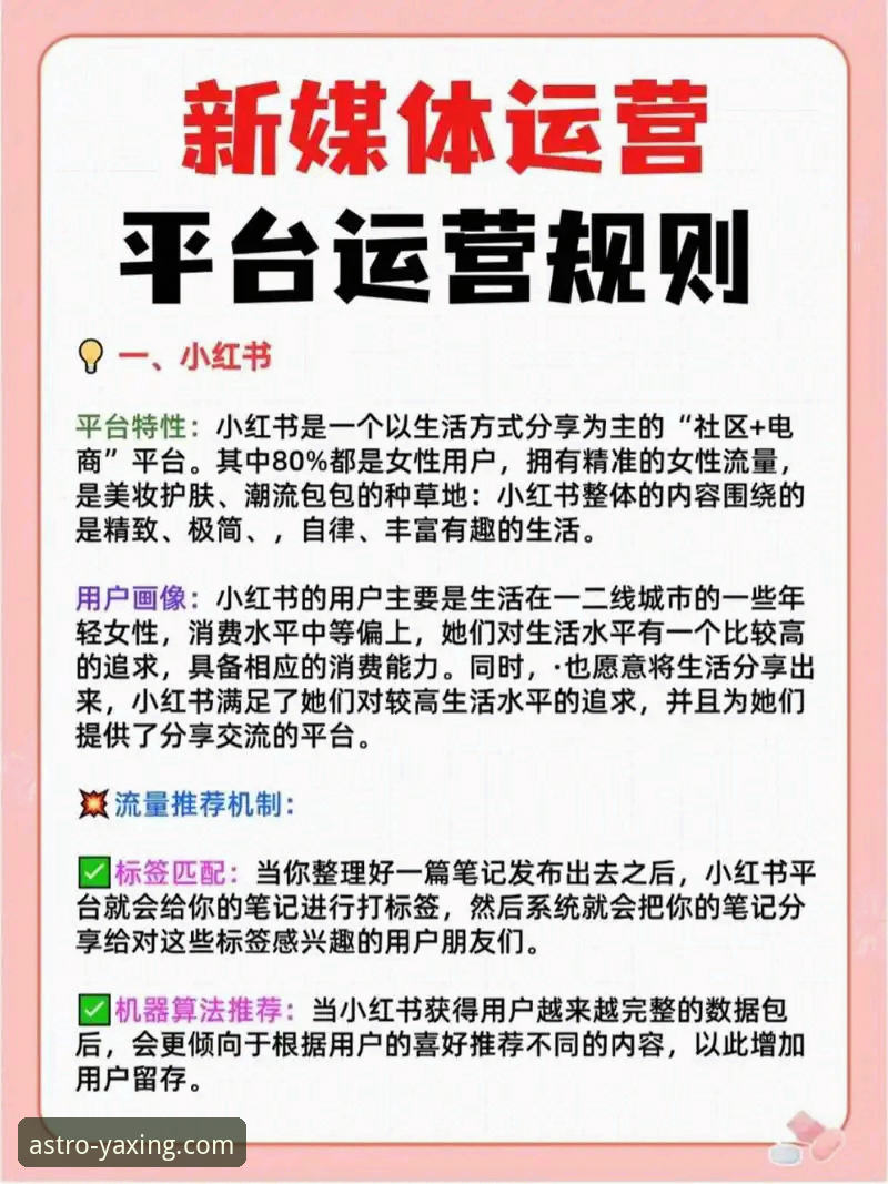 亚星娱乐平台最新动态：解析官网入口必备要素与高效使用指南